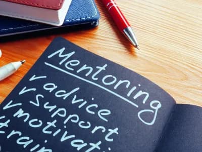 Mentorship & Networking
